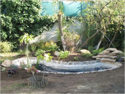 Avant/après : Un bassin pour redonner vie à un jardin