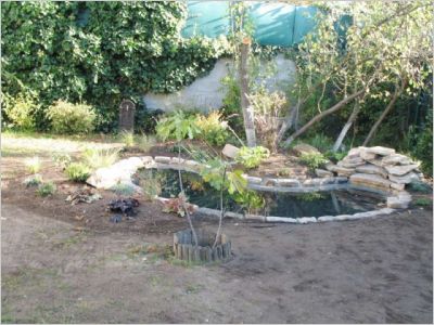 Avant/après : Un bassin pour redonner vie à un jardin