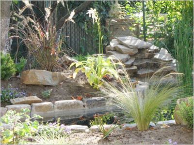 Avant/après : Un bassin pour redonner vie à un jardin