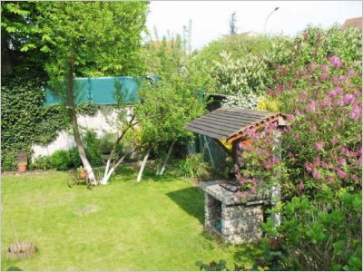 Avant/après : Un bassin pour redonner vie à un jardin
