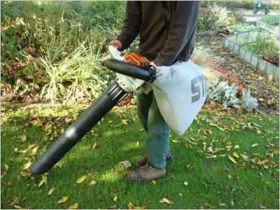 Jardin automne ramassage