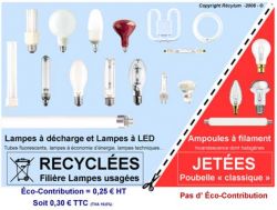 lampes recyclables ou non