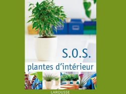 S.O.S. Plantes d’intérieur