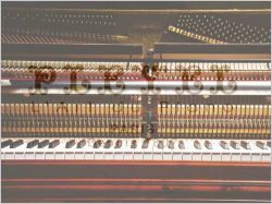 Pleyel 1