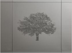 Arbre James Heeley zinc