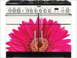 mod�le floral - Falcon
