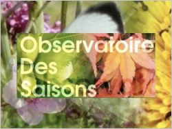 observatoire des saisons une