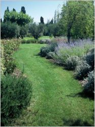 jardins - fleurs - UNEP