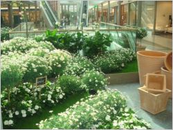 Domus jardin �ph�m�re