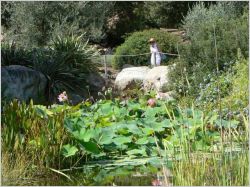 jardin - �v�nement Rendez-vous aux jardins