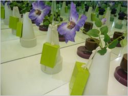 Porcelaine Manufacture de s�vres Designers days