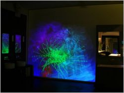 Fractal Flowers - expo Designers days