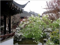 Dans la ville Chinoise - Exposition Chaillot