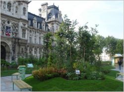 jardin �ph�m�re H�tel de Ville - Paris