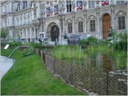 jardin �ph�m�re Hotel de ville de Paris