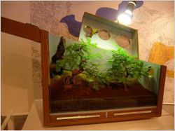 Exemple d�agriculture propre