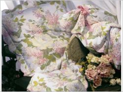 Saga Anne de Sol�ne