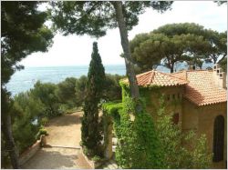 V�g�tation dans les jardins