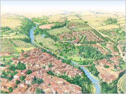 Achetez une maison et devenez vigneron !