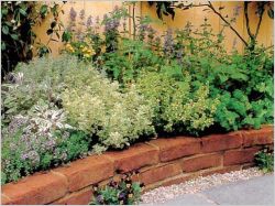 De grandes idées pour les petits jardins