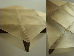 Un nid d’abeille en cuir transparent