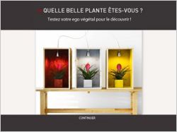 www.quizplantes.com