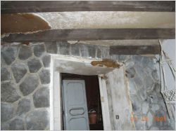 Appartement infesté mérules