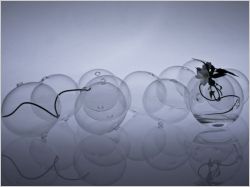 Exposition En Verre et Contre Tout