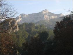 Le Gaussier dans les Alpilles