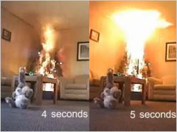 Incendie sapin
