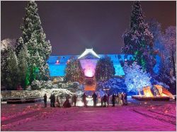 Noël au jardin