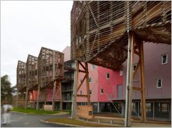 Des logements aux allures de serres