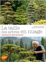 nuage