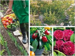Livres jardin