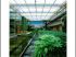 Jardin int�rieur