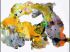 G�rard Pair�
