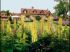 Fermette dans les champs
