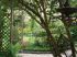 Le jardin