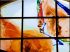 M�lange de couleurs