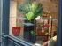 Vitrine de la boutique Thomas Chavel design