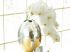 Vase avec une orchid�e