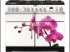 Orchid�e