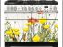 Fleurs des champs