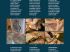 Les gestes cl�s de la production