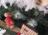 D�tail du sapin
