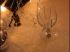 Peinture sur verre