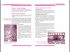 Pages 66-67 