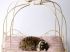 Lit � baldaquin pour chien