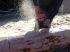 La tronc est d�bit�