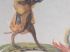 D�cor singe apr�s restauration